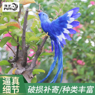 �Ҿ��b���ë�B�[�����μo��Ʒ�ֹ�ˇƷ����С�B�Lβ�B����ģ��