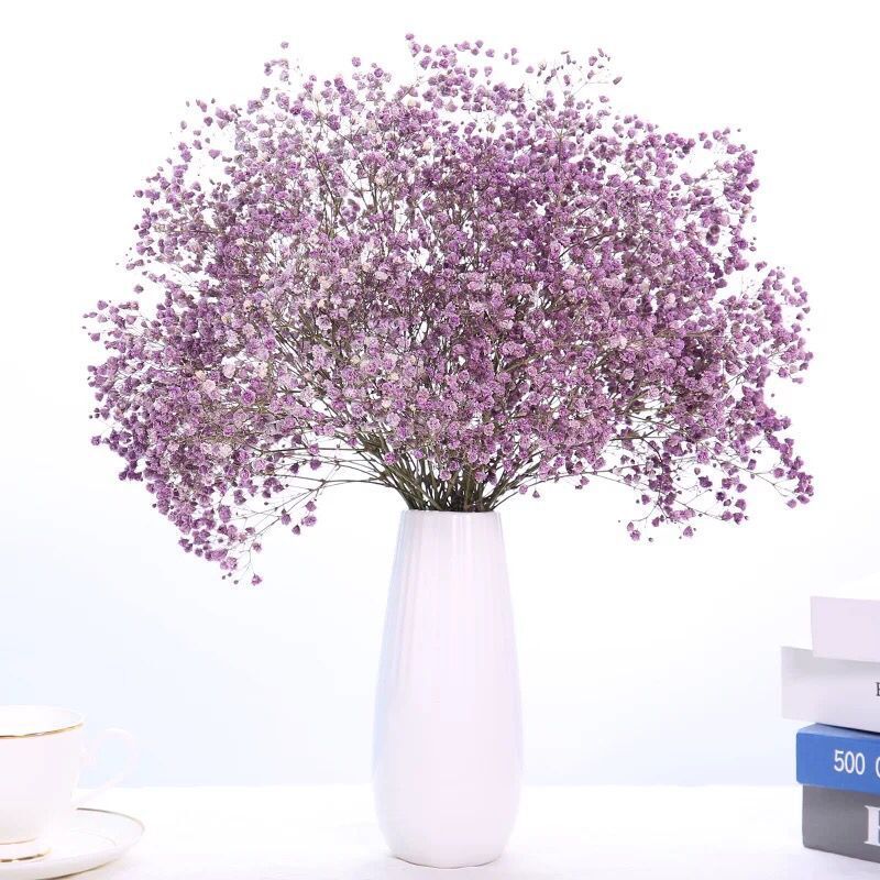 보라색 A 급 꽃 킬로의 무리