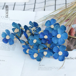 ���_�m��Ϸ���ֲ���ֹ��ɻ�������@ճ�������m�����m���˹��YƷ