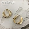 Retro fashionable metal earrings, internet celebrity, European style