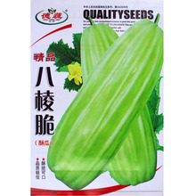 ������Ӳ˹����չ������߲������������ֲ������ӹ�˾�ļ�