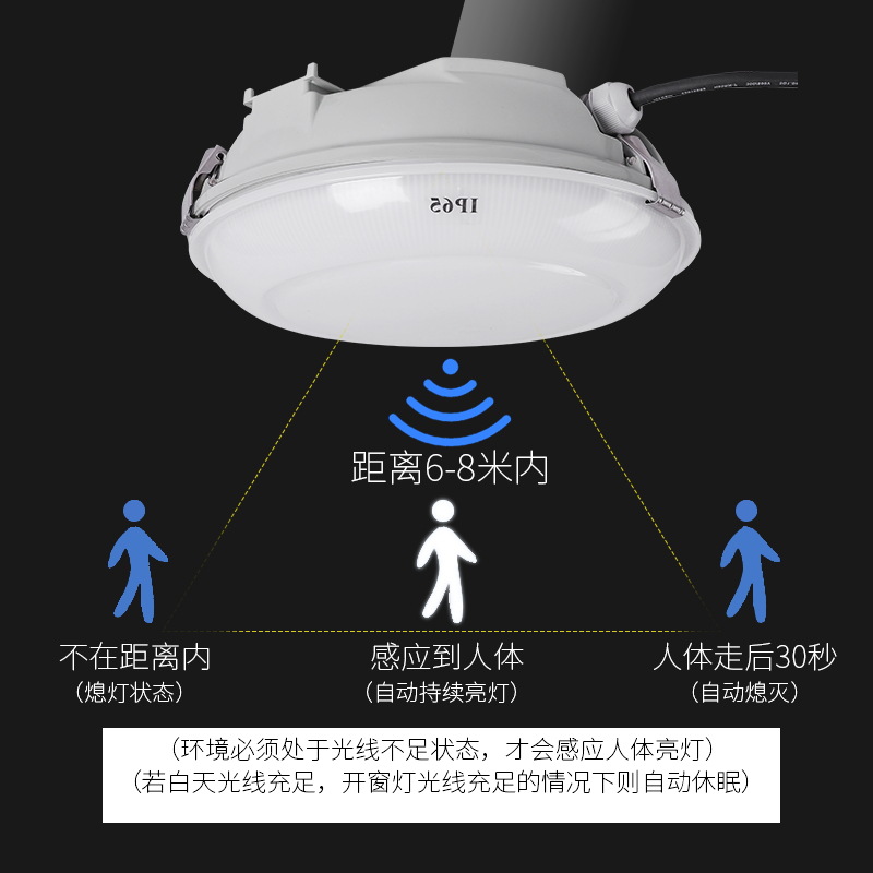 led防水吸顶灯 ip65加强防尘防潮防雾防虫雷达吸顶灯卫生间阳台灯