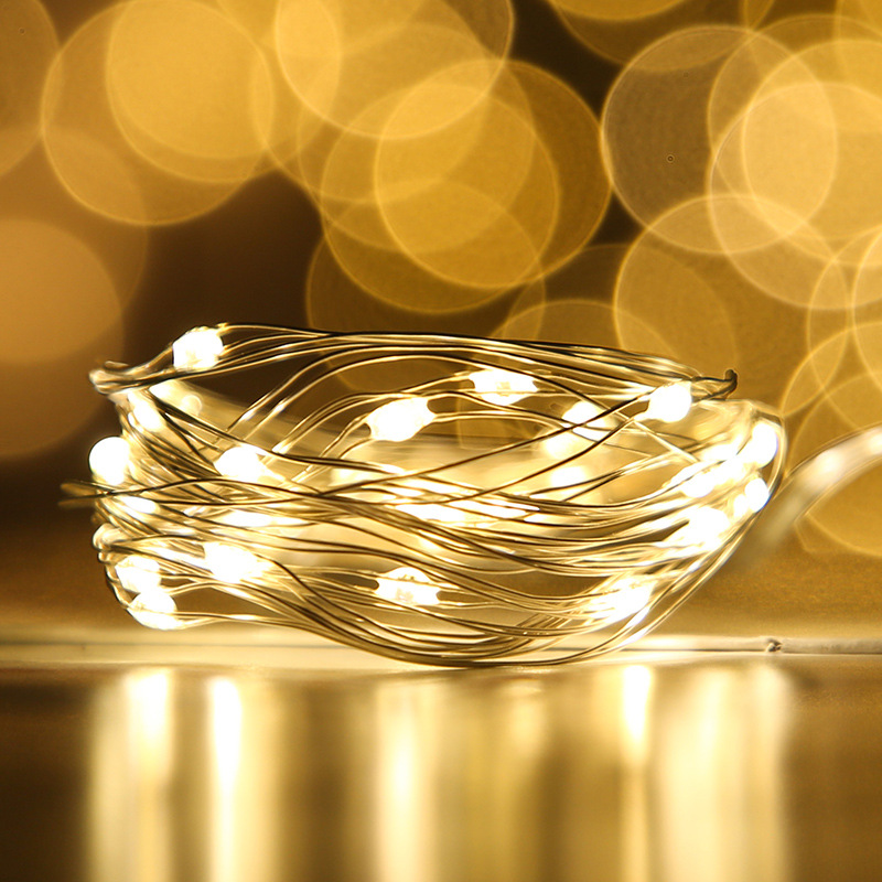 厂家直供LED铜线灯串 纽扣电池盒铜线灯鲜花礼品节日装饰星星彩灯