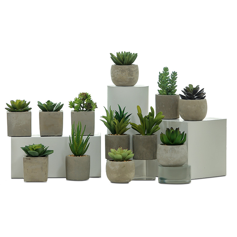 Planta suculenta artificial, maceta decorativa para hogar, bonsái verde, accesorio decorativo