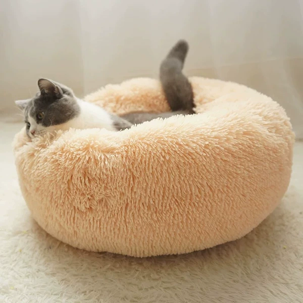 Абрикосовый (диаметр ≈70 см)