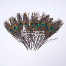 厂家批发优质孔雀尾羽毛25-30cm服装服饰舞台摆设饰品插花面具