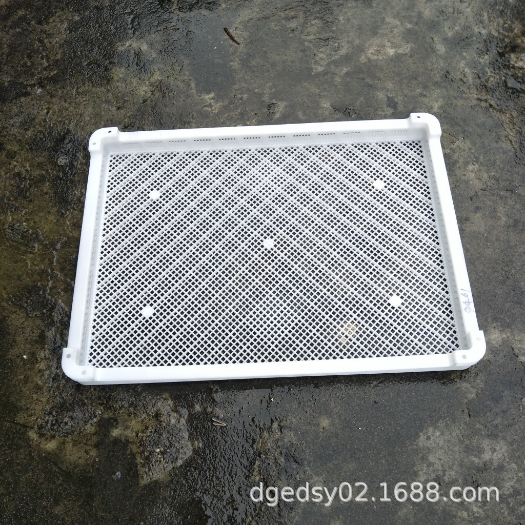 新料单冻器晾晒网格盘烘干盘 冷冻筐 耐低温盘烘烤盘塑料网孔盘