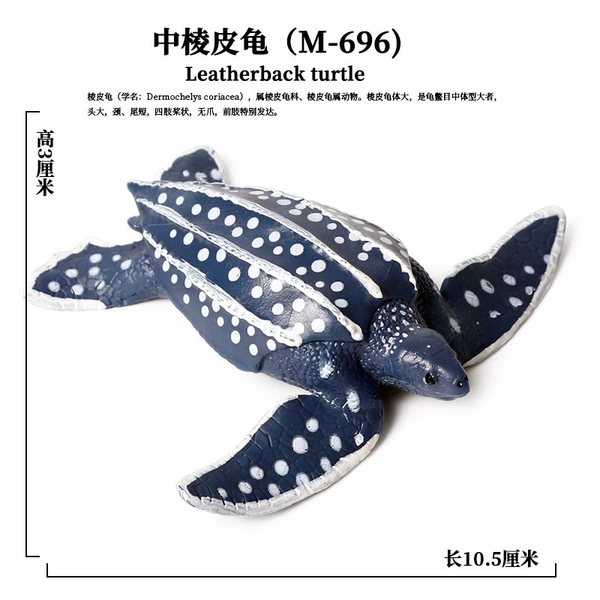 PL127-696 Mid-edge skin turtle turtle