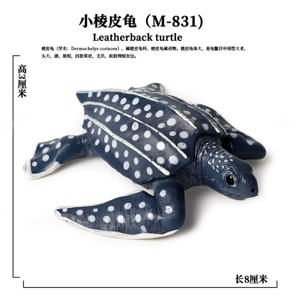 PL127-831 Small Skin Turtle Turtle