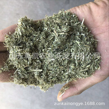 国产紫花苜蓿草草粉饲料牛马羊饲料兔料原料二茬苜蓿草现货