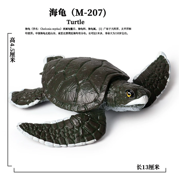 PL127-207 Turtles