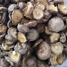 南北干货特产干香菇 食用菌香菇干4-5公分散装批发500g厂家批发