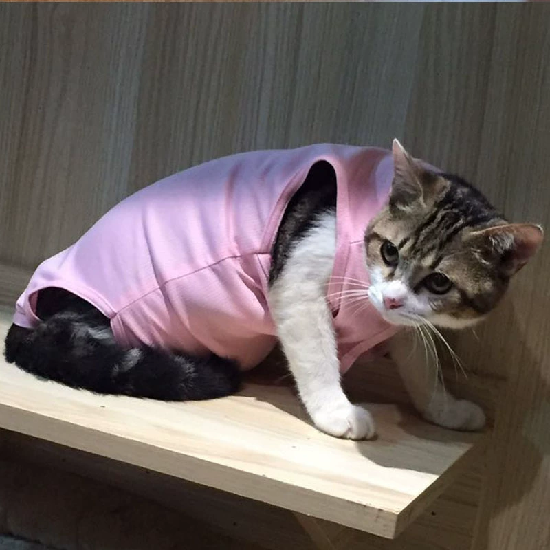 Хирургический костюм для кошек