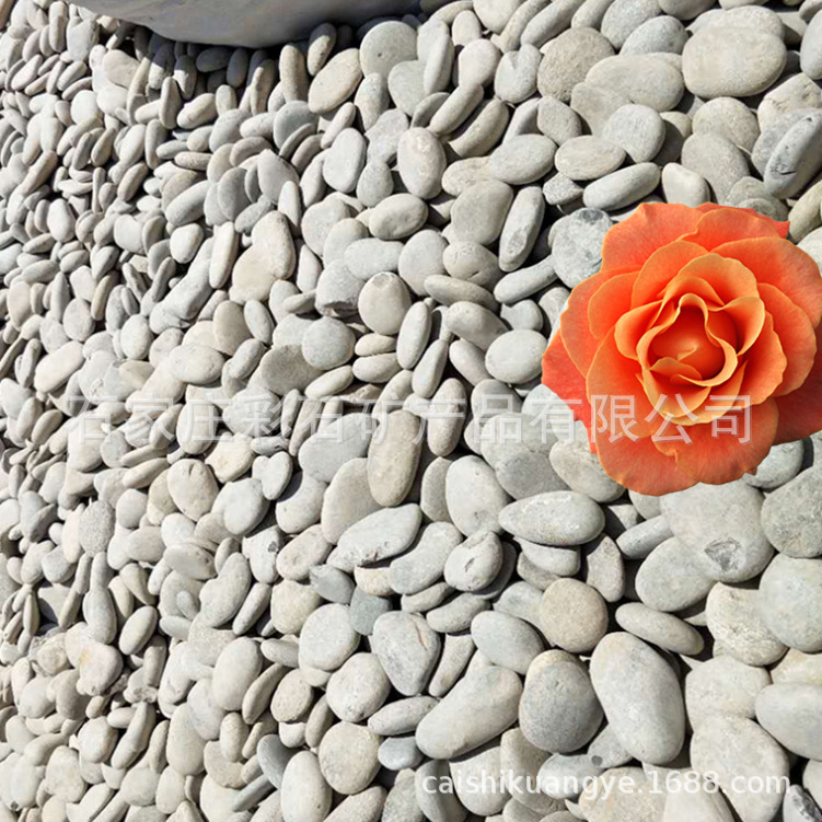 供应鹅卵石 河卵石 园林铺路庭院别墅造景鹅卵石 杂色石头