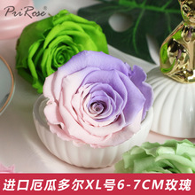 RoseAmorXL號厄瓜多爾玫瑰永生花保鮮花6-7厘米diy材料20色選玫瑰