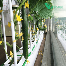 绿淘吧家庭室内阳台种菜花盆机设备水培无土栽培有机蔬菜种植箱盆