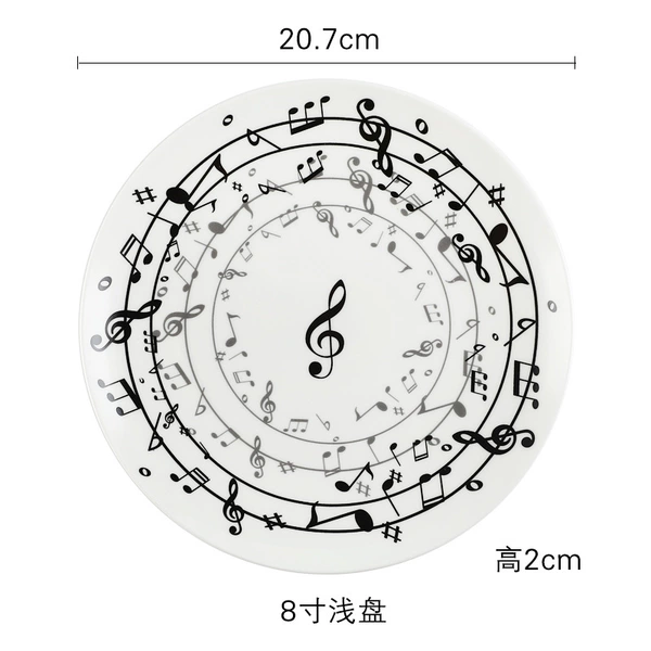8 -inch shallow disk