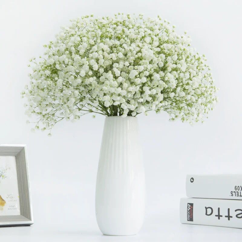 A 급 흰색 꽃 catty의 무리