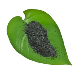 活性炭;活性氧化铝;分子筛