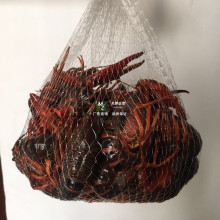 ���l�bС���r�W�����������ô��lз���˼��~ؐ��ˮ�a�Ӻ��з�W��