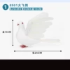 8901 Da Fei Pigeon