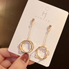 Fashionable earrings, goods, fitted, internet celebrity