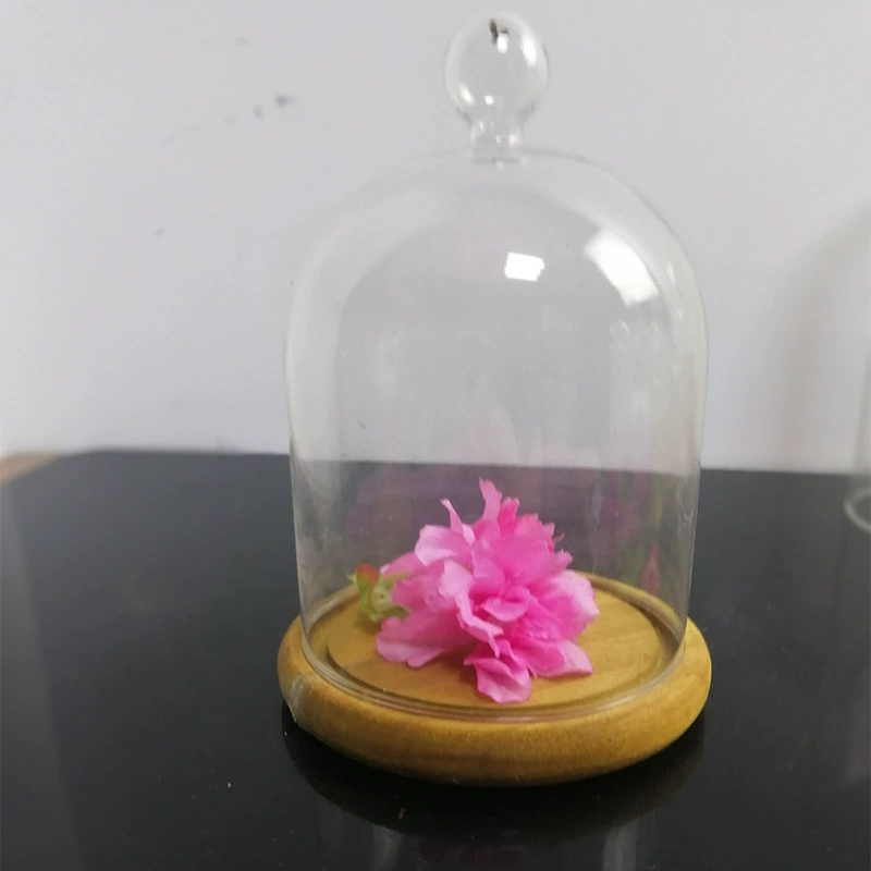 Миниатюрная экологическая стеклянная витрина для суккулентов из высококачественного боросиликатного стекла, креативный дизайн для рабочего стола