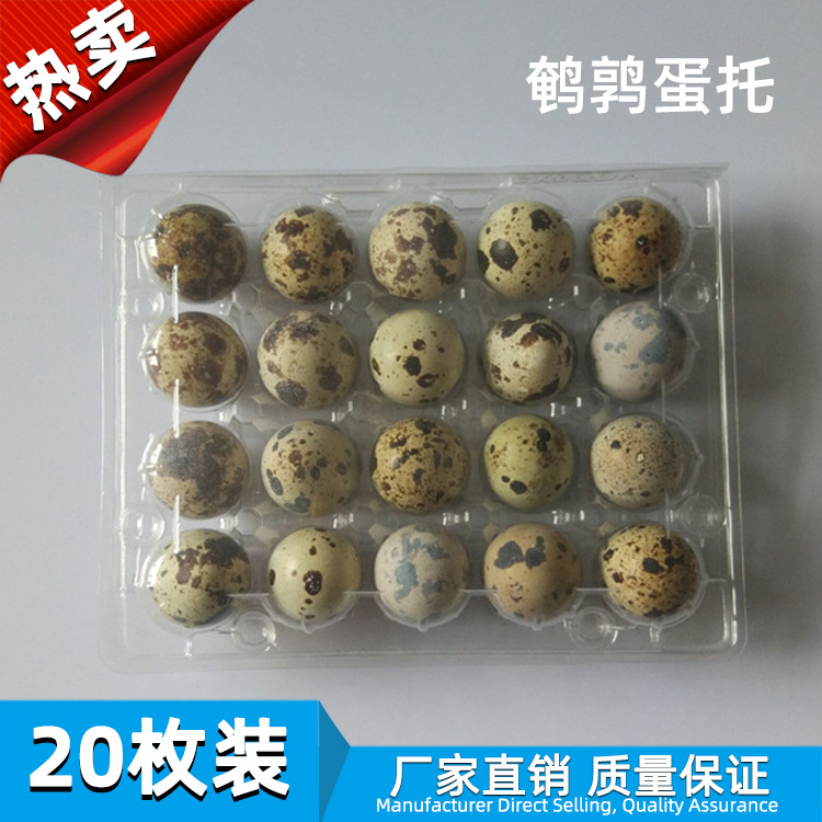 En stock caja de embalaje de huevo de codorniz 20 huevo de codorniz caja de regalo embalaje de PVC en stock bandeja de huevo de codorniz desechable