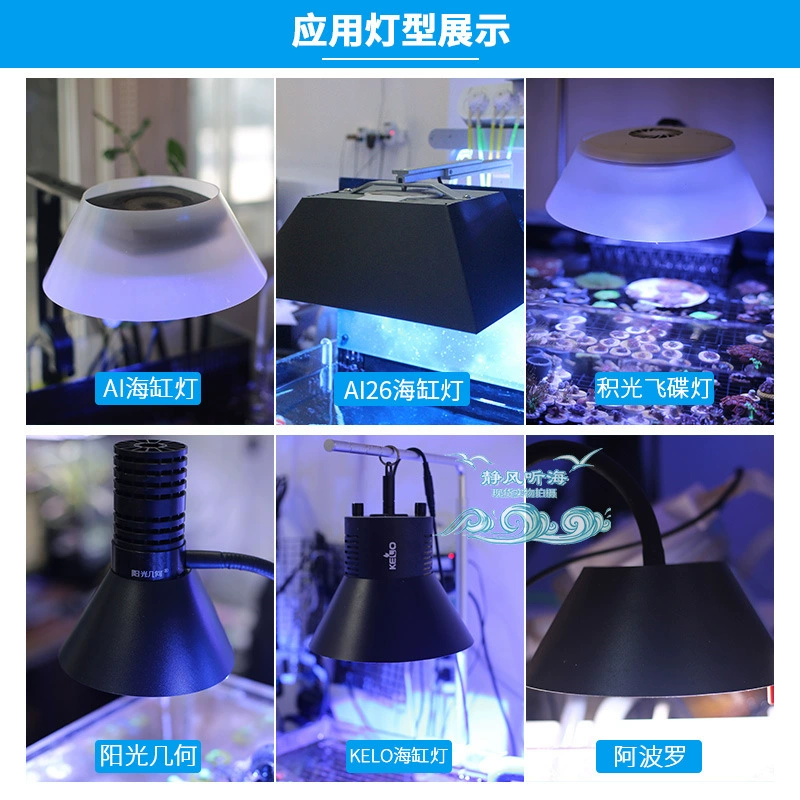 Пользовательское название: Jingfeng Listen to Sea Fish Tank Lantern Aquarium Lantern Sunshine Gee Apollo Apolo Keloai26 Jae Light Flying Small Lantern