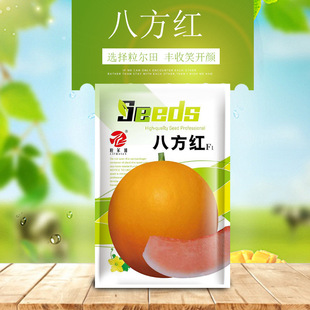 ������˷��t��Ƥ��ϷN�� �SƤ�t����� ���ܹ���� ����ϷN��