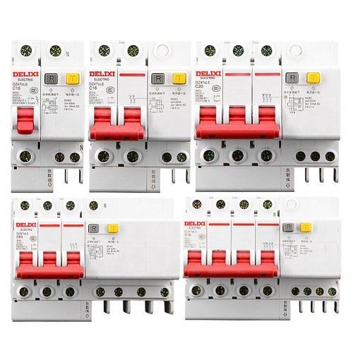 Delixi 2P circuit breaker with leakage protection DZ47SLE small air switch DZ47LE air switch 63A household