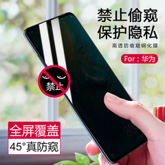 適用華為暢享30E 20E 榮耀X30i 50SE X20SE 防偷窺手機鋼化膜批發