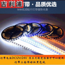 led2835灯带12vled5050低压灯带七彩24V软灯条DC36V防水灯带 低压