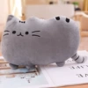Серый (печеньковый кот)