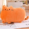 Коричневый (печеньковый кот)