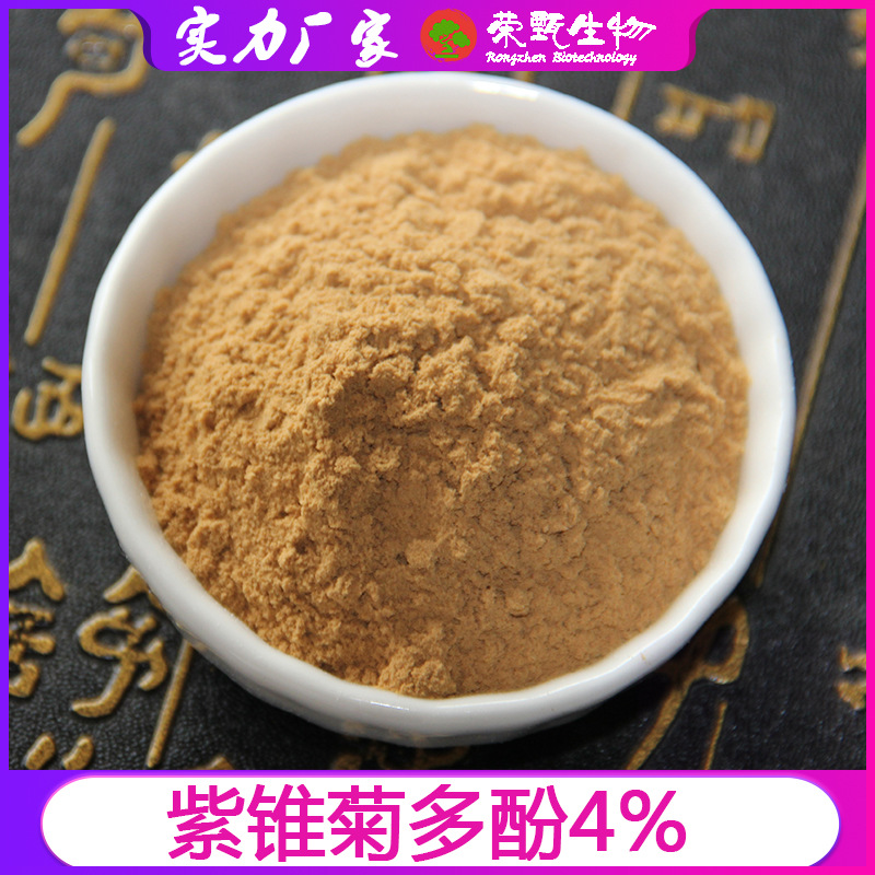 紫锥菊多酚4% 紫锥菊甙  菊苣酸  荣甄生物 量大从优 现货包邮