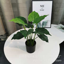 厂家直营仿真植物落地天堂鸟盆景室内装饰假盆栽绿植摆件旅人蕉树