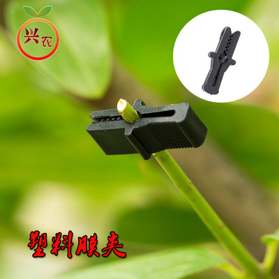 葡萄避雨棚压膜卡夹膜卡大棚塑料薄膜夹子果树大棚膜夹子|ms