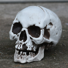 万圣节烂鬼骷髅头摆件酒吧鬼屋密室骷髅头布置仿真人骨模型装饰品