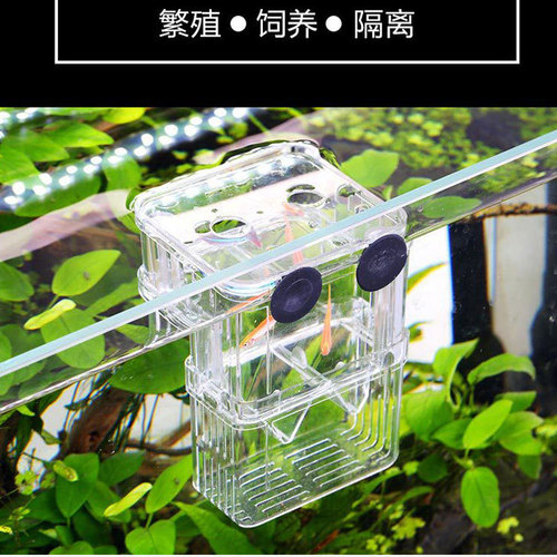 Fish tank aquarium hatching box fish tank isolation box peacock fish breeding box small fish nursery breeding tank acrylic