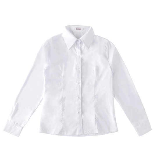 [A generation of hair] 2024 new white shirt women's chiffon professional women's long sleeve shirt cotton fine grain V-neck