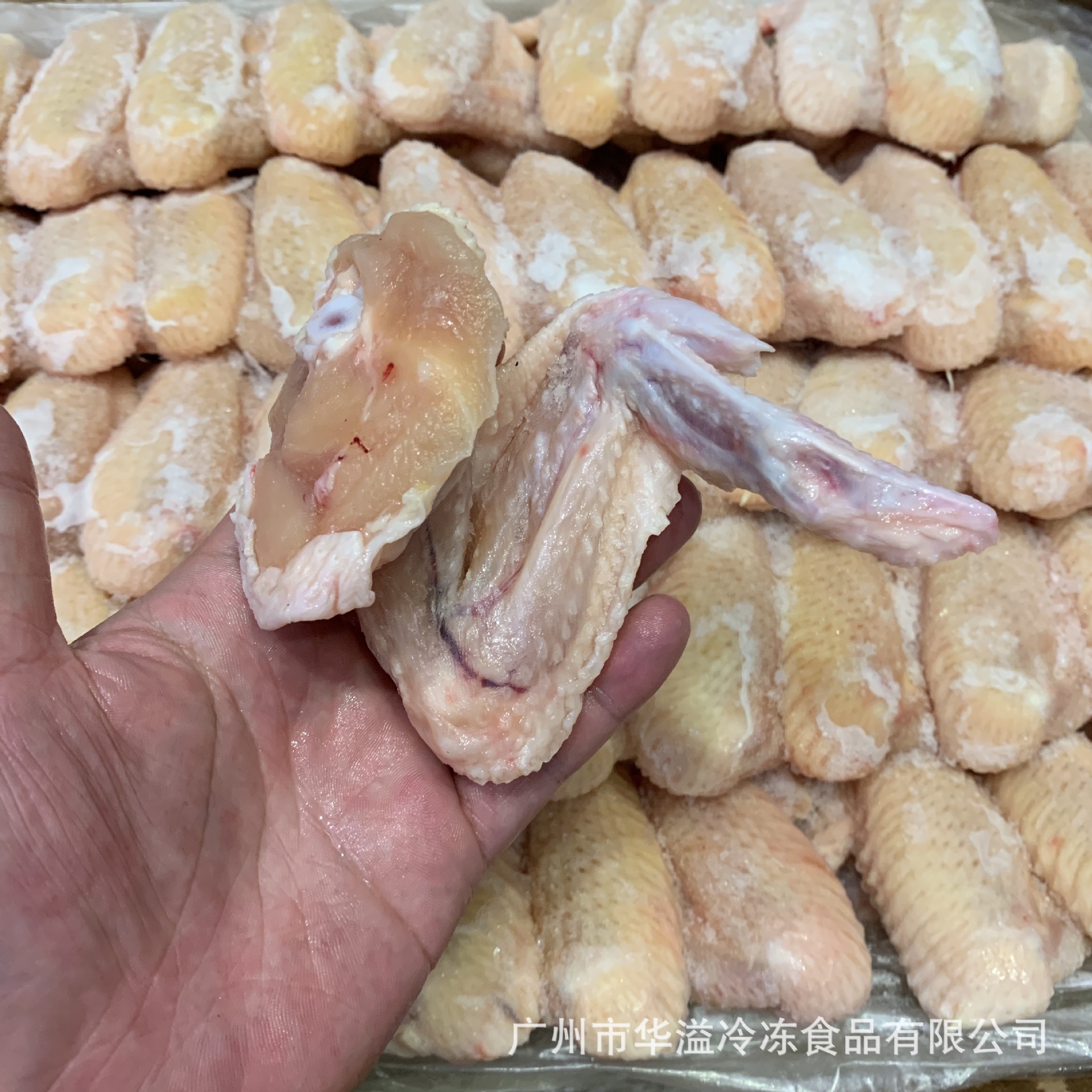 冷冻鸡全翅 90-100克/只 12斤/箱 冷冻烧烤用鸡翅 鸡全翅