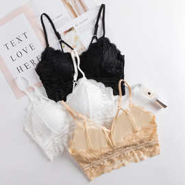 新品网红bralette 蕾丝内性感美背吊带舒适打底裹胸无钢圈文胸女