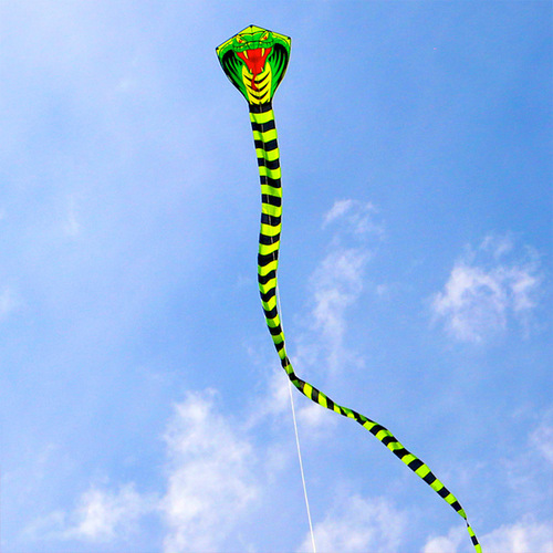 Weifang Kite Wholesale New Bamboo Leaf Green Snake Long Tail 8m 15m 30m Cobra Green King Snake Breeze Kite