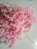 [Eternal Flower Full of Tianxing] Eternal Flower Full of Tiantian Dry Flower Manufacturers wholesale