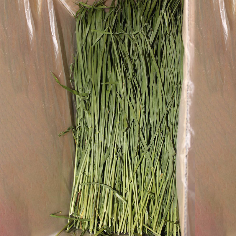 Manufacturer Wholesale 2026 Dried Wheat Grass Hay for Rabbits, Chinchillas, Guinea Pigs, Rabbit Grass, Wheat Grass