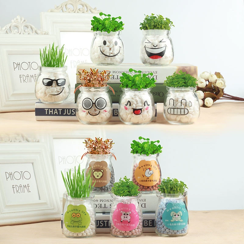 Кукла из длинной травы с крутым выражением лица, креативное горшковое растение, подарок-украшение, посадка своими руками, гидропонная посадка с отрицательными ионами