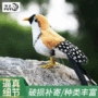 家居园林布置珍珠鸟仿真鸟