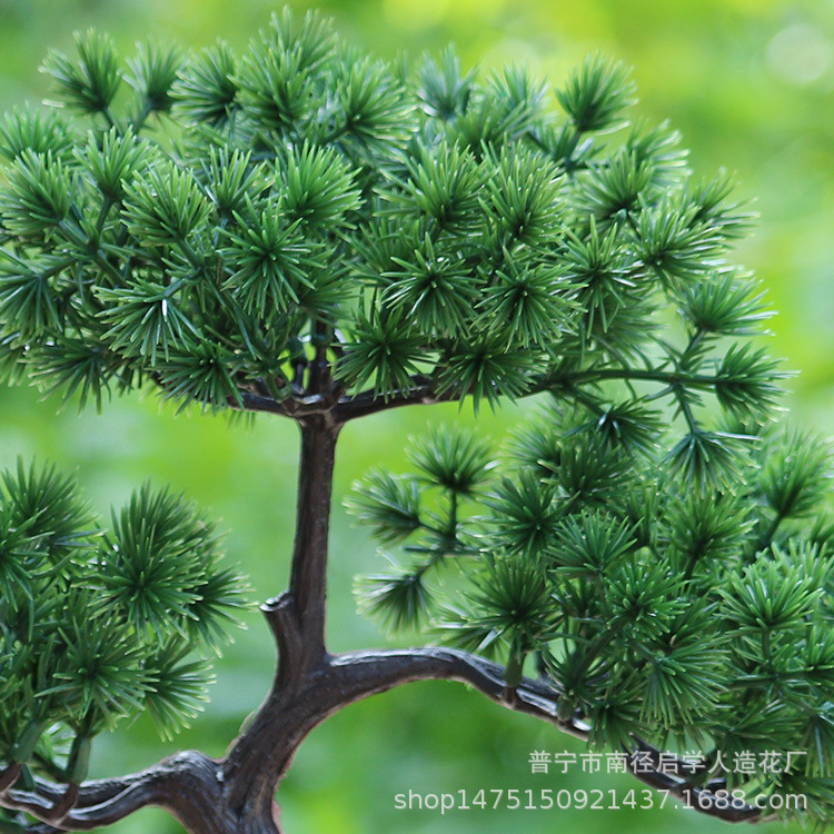 Chino Zen simulación falso Pino bienvenida Pino bonsai modelo sala de exposiciones Hotel pantalla verde planta bonsai decoraciones