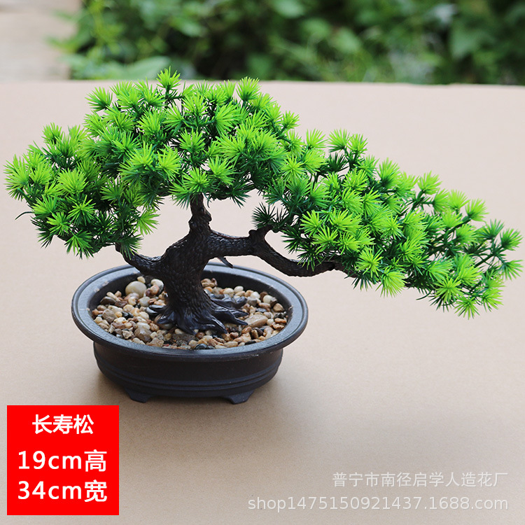 Chino Zen simulación falso Pino bienvenida Pino bonsai modelo sala de exposiciones Hotel pantalla verde planta bonsai decoraciones